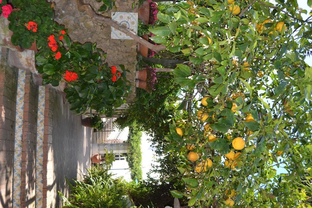 Piccolo Tirreno Hotel Residence Procida Eksteriør billede