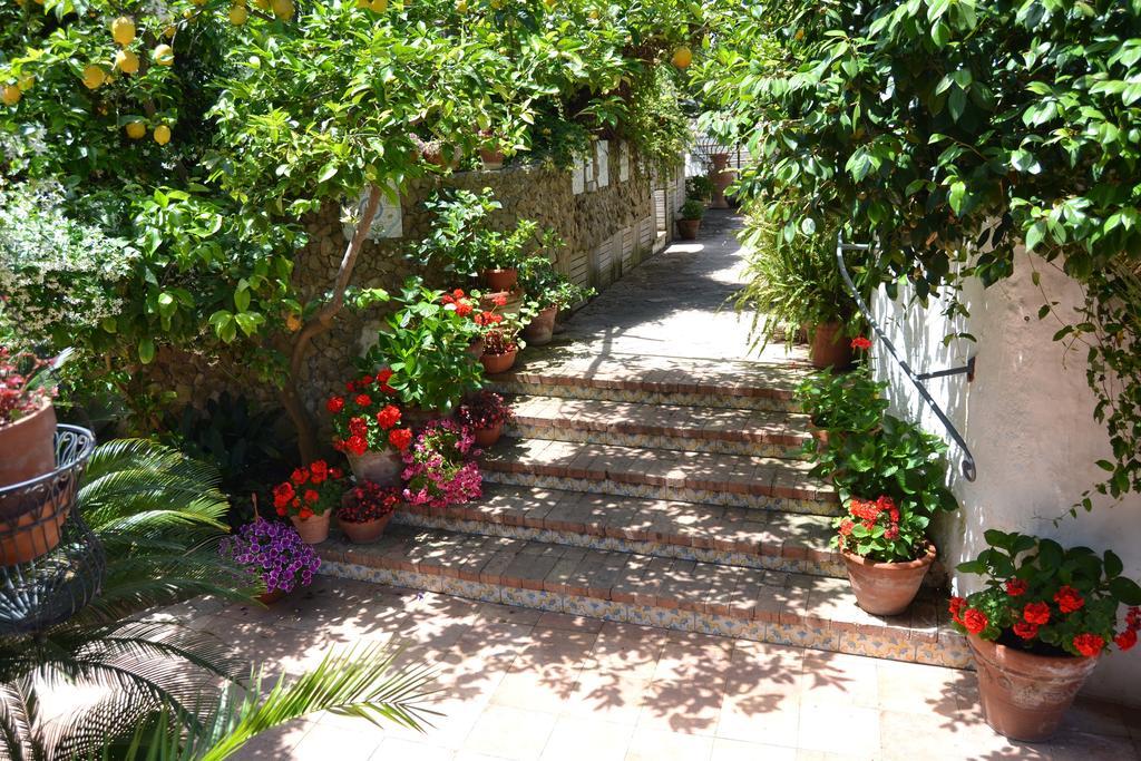 Piccolo Tirreno Hotel Residence Procida Eksteriør billede