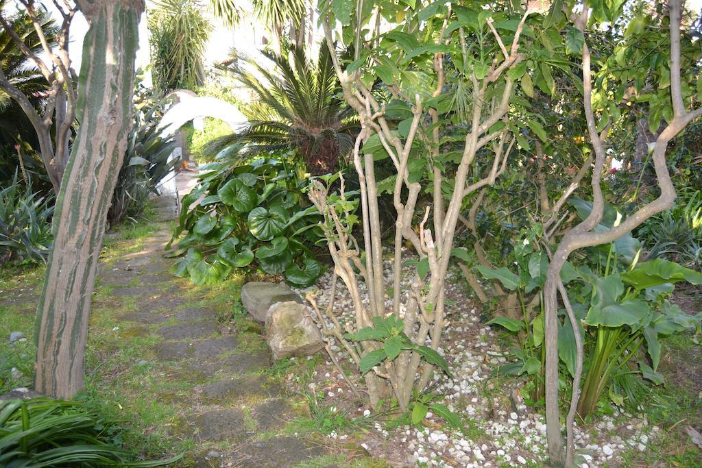 Piccolo Tirreno Hotel Residence Procida Eksteriør billede