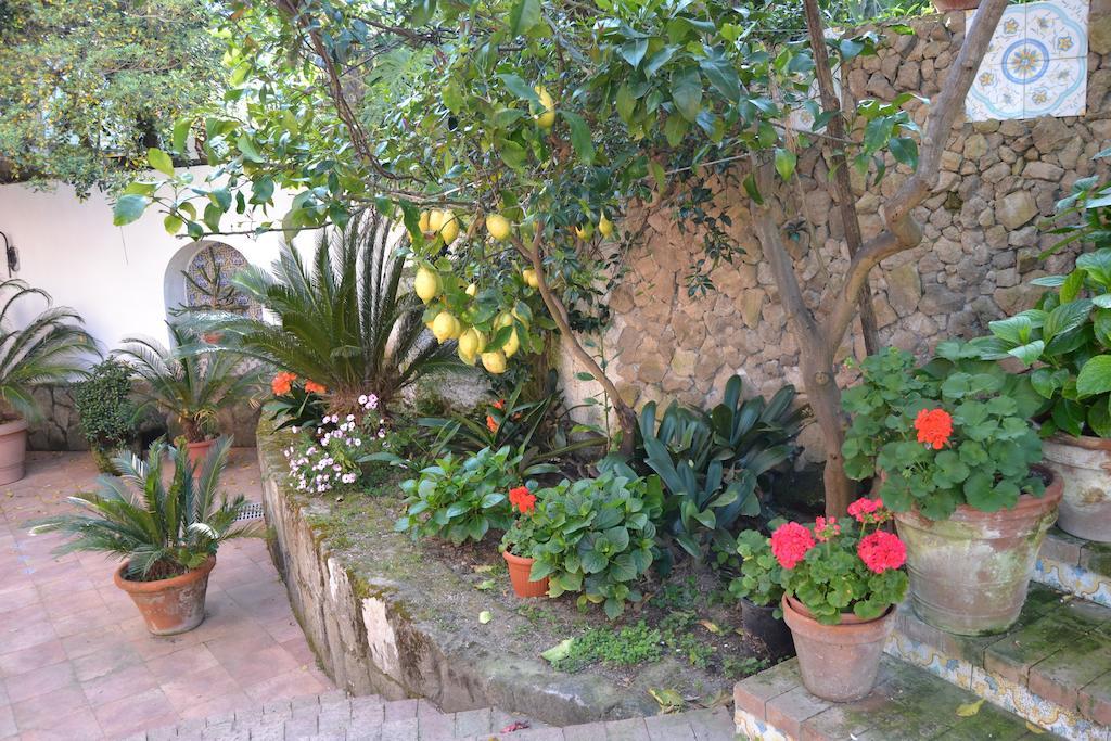 Piccolo Tirreno Hotel Residence Procida Eksteriør billede