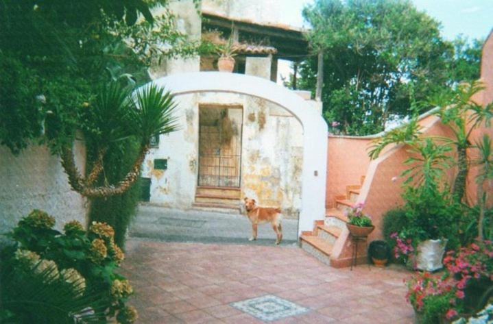 Piccolo Tirreno Hotel Residence Procida Eksteriør billede