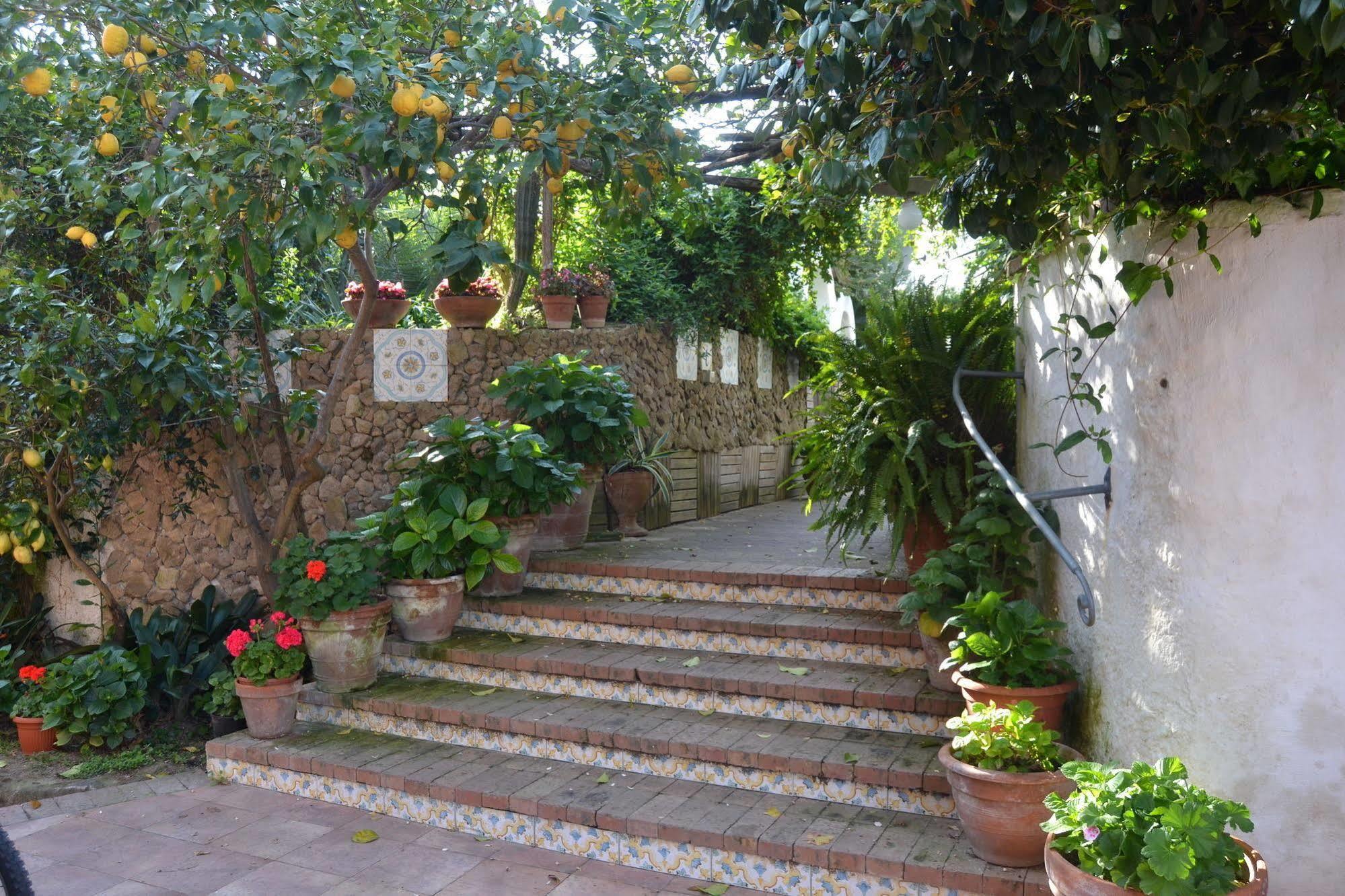 Piccolo Tirreno Hotel Residence Procida Eksteriør billede